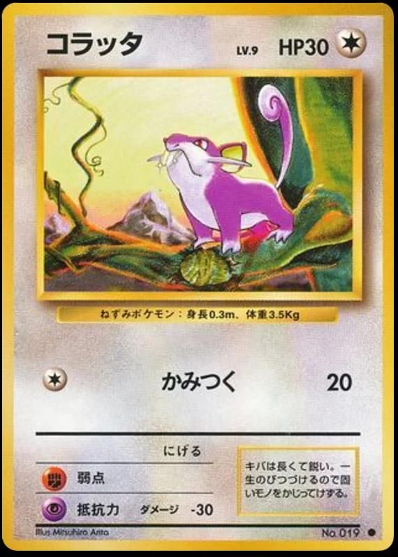PSA 10 Rattata Japanese Intro Pack graded Pokémon card